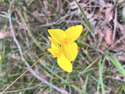 [No subject header found]