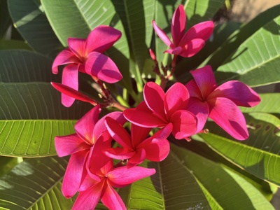 [No subject header found]